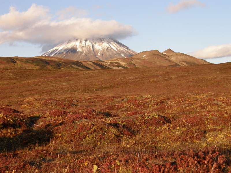 scenics - nature, day, mountain plateau, wonderful weather, tundra, land, clouds, open space, tranquility, beauty in nature, stones, mountain range, foliage