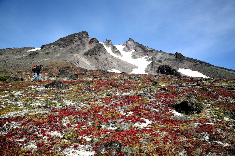 the foot, mountains, snow, journey, mountain plateau, height, plants, open space, mountain range, stones, snowcapped mountain, people, 1080P, autumn, wonderful weather