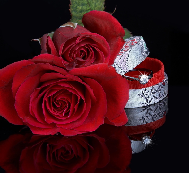 flower Head, bunch of flowers, 2K, decoration, backgrounds, close-up, plant, box, flower, roses, red, bouquet, ring, day, fragility, flower arrangement