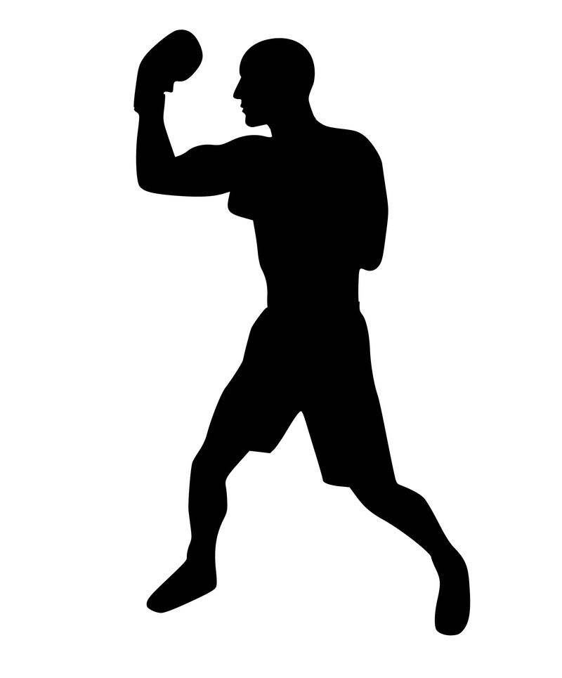 2K, lifestyles, standing, boxing gloves, hook, emblem, white background, adult, boxing, knockout, cut out, music, indoors, icon, wbo, athlete, men, leisure activity