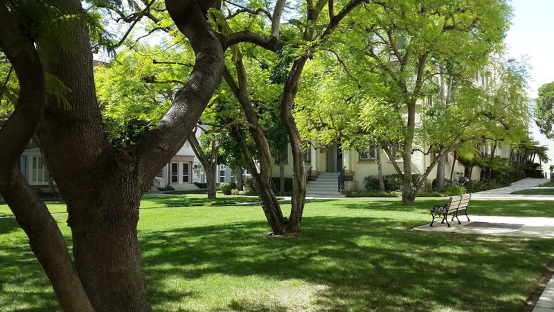 greenery, paramount, outdoors, plant, city, park - man made space, green color, day, growth, landscape, building, grass, tree, branch, sunlight, architecture