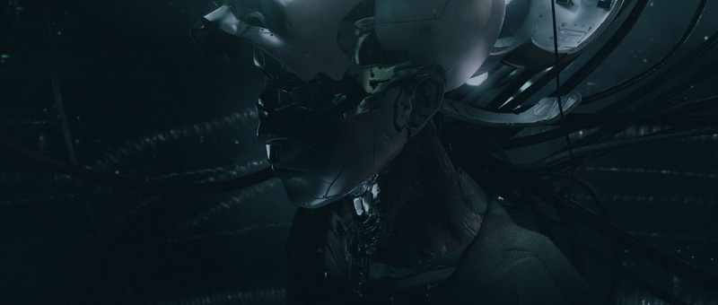 Ghost in the Shell, 1080P, 3D, cyberpunk
