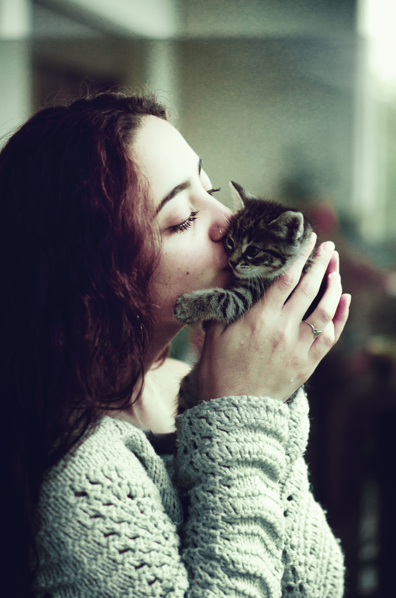 kissing, vertebrate, holding, gray, care, pet owner, one person, feline, animal, young adult, hairstyle, focus on foreground, female, argentina, person