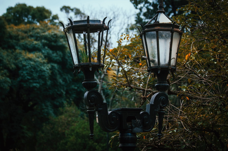 electric light, growth, nature, light, focus on foreground, outdoors, electric lamp, la plata, day, technology, no people, street light, land, argentina
