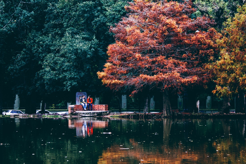 tranquility, growth, scenics - nature, orange color, nature, beauty in nature, plant, water, tree, lake, argentina, rest, outdoors, reflection, nautical vessel