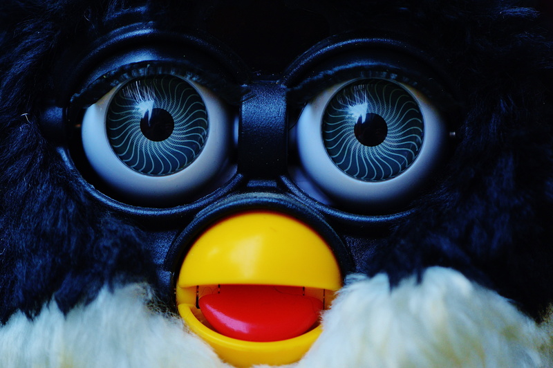 connection, close-up, studio shot, iris - eye, eyesight, 4K, soft toy, toys, full frame, furby, stuffed animal, sensory perception, children, indoors