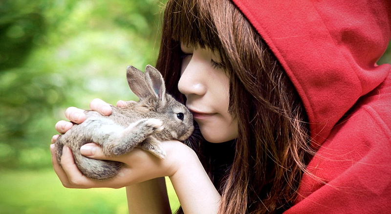 hood, red, animal, 1080P, 3d and abstract, riding hood, bunny, gray, cute, girl, riding, rabbit, baby, fantasy
