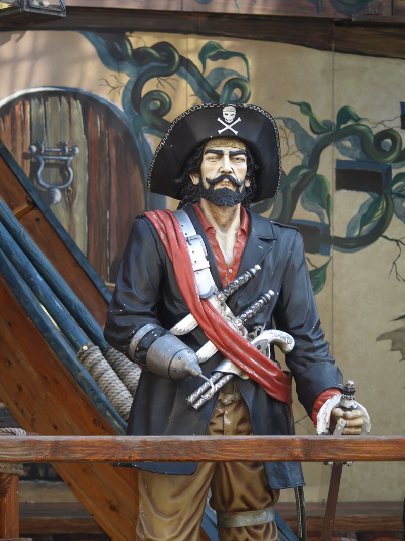 sitting, lifestyles, standing, one person, looking at camera, facial hair, captain, mature men, adult, pirate head, beard, clothing, glasses, 2K, front view