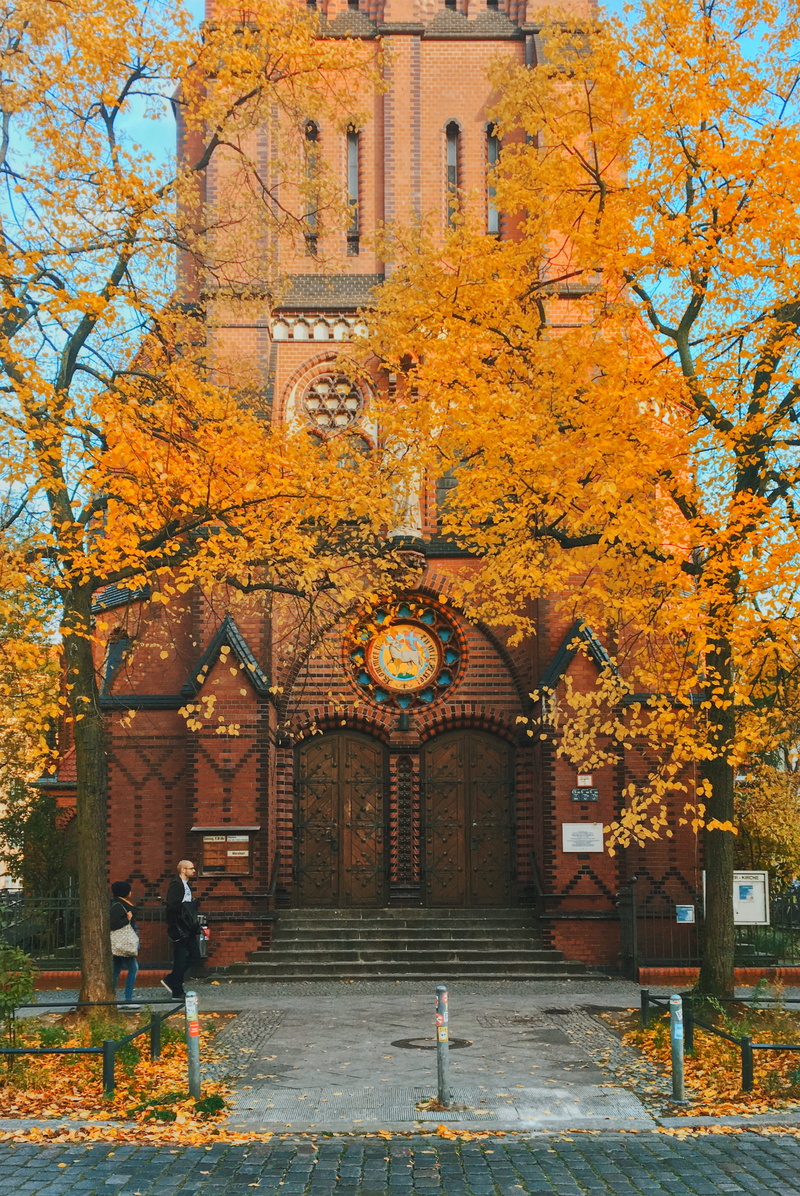 outdoors, 4K, plant part, leaf, change, nature, red, berlin, built structure, plant, day, building exterior, germany, the past, orange color, autumn, orange