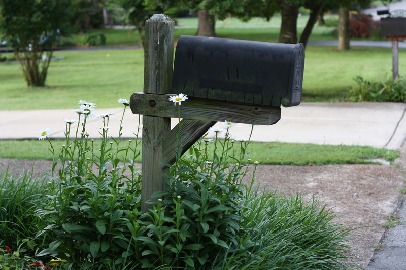 park, mailing, address, tranquility, 4K, letterbox, outdoors, nature, plant, mail, lawn, stamp, container, front or back yard, growth, focus on foreground