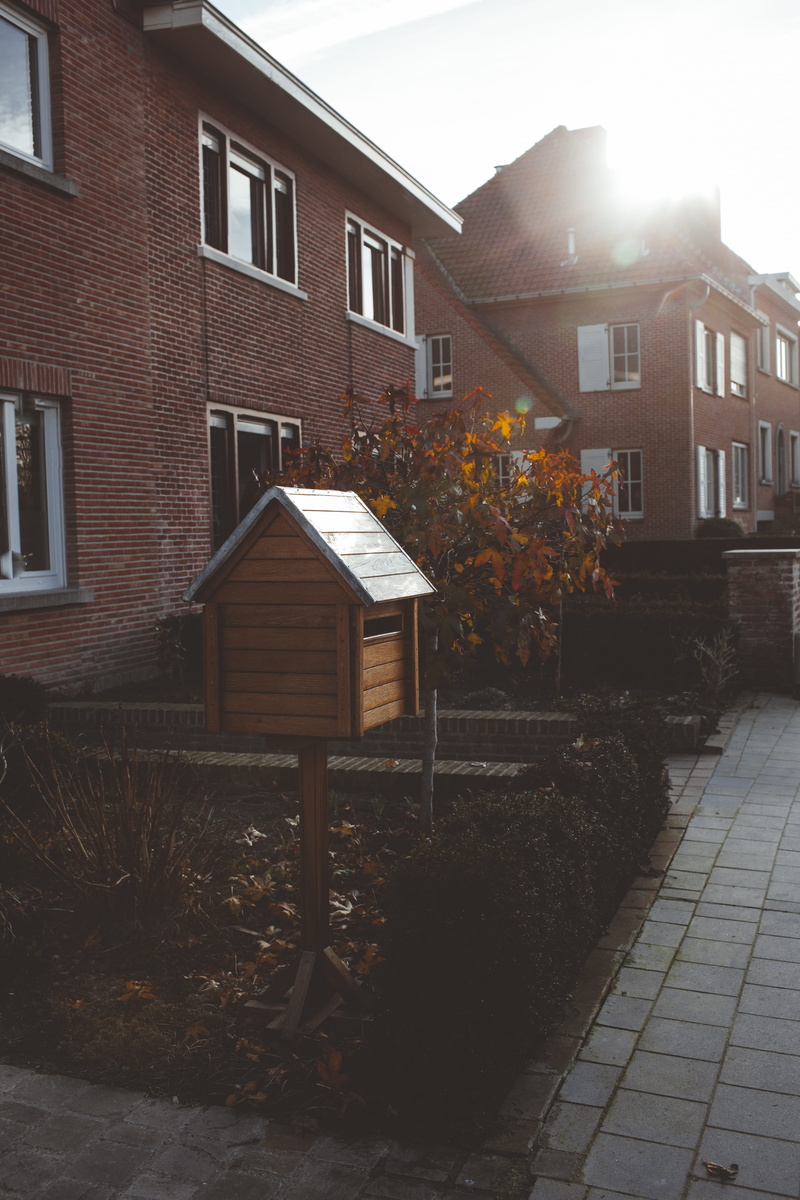 sunlight, travel, change, built structure, letterbox, flare, mailbox, city, brugge, apartment building, slate, urban, belgium, light, window shade, plant part