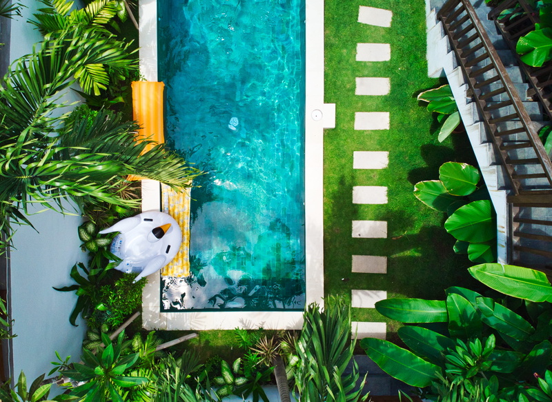no people, aerial, kuta utara, indonesia, outdoors, tree, photography, bird, swimming, animal wildlife, moss, nature, animal, animals in the wild, garden