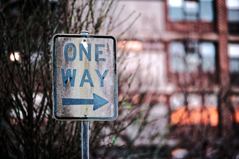 bare tree, road sign, signage, symbol, white, 5K, information, road, text, nature, plant, one, day, message, no people, communication, architecture, arrow
