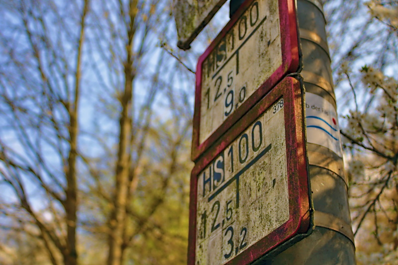 angle, scale, signs, road sign, hubcap, no people, nature, low angle view, tree, guidance, photography, star symbol, machine, communication, western script