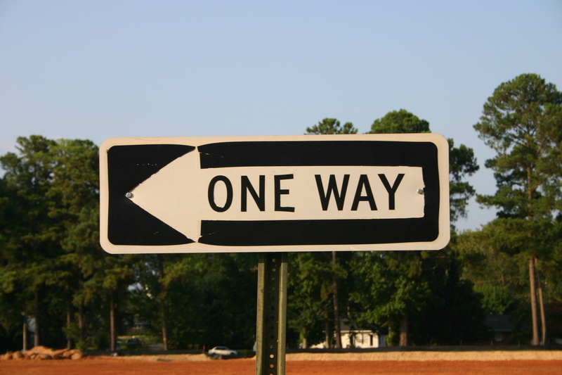 traffic, guidance, plant, one way, road, car, street, one, tree, nature, traffic arrow sign, no people, arrow, road sign, sign, multiple lane highway, one-way