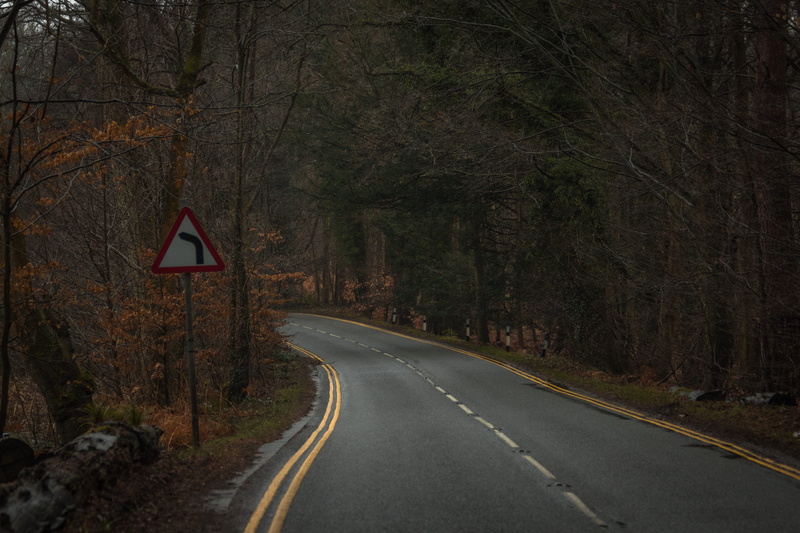 land, guidance, symbol, gray, navy, transportation, military, curve, empty, direction, vulture, bus stop, tree, highway, asphalt, marking, animal, communication