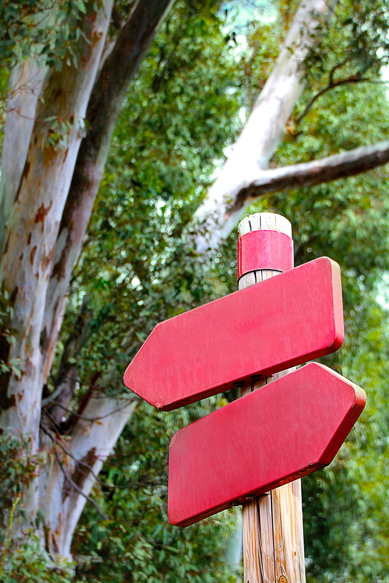 street sign, day, directory, creativity, point of view, low angle view, fork, 4K, sign, decisions, away, design, nature, signposts, outdoors, decision