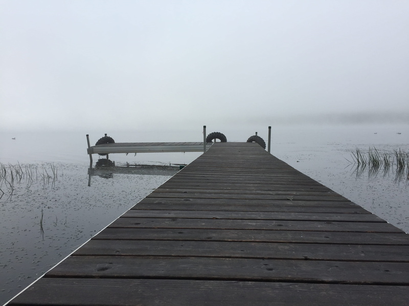 boardwalk, beauty in nature, fog, bird, animal wildlife, wood - material, nature, port, wood paneling, bridge, tranquil scene, direction, aircraft, animal
