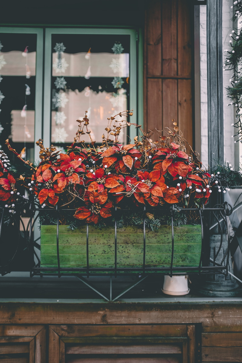 fragility, flowering plant, flower bouquet, food, blossom, transparent, vulnerability, art, beauty in nature, planter, leaf, plant, no people, day, petal