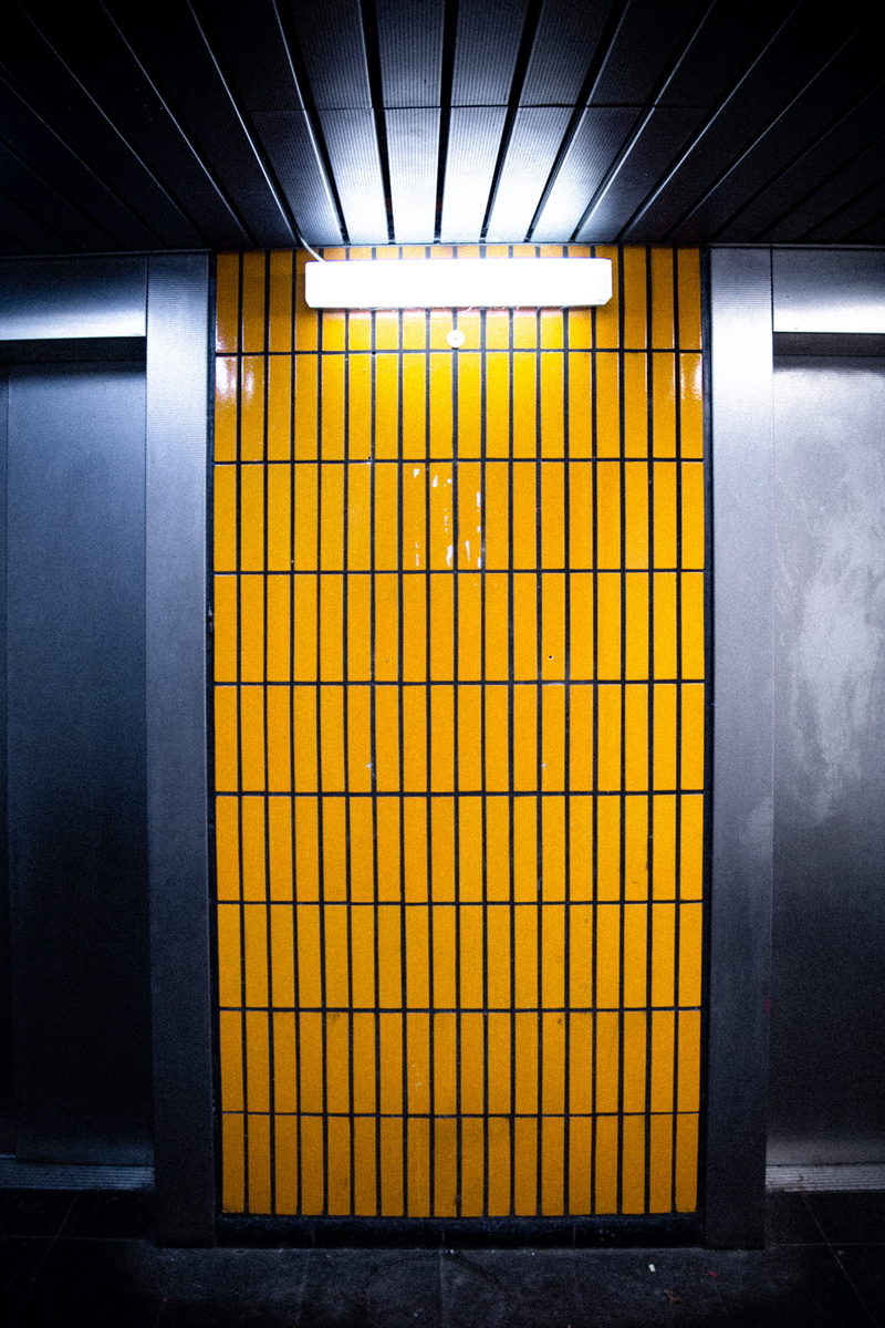 transportation, indoors, ceiling, rail transportation, floor, built structure, plant, black, window, door, jar, cabinet, light, tree, wall - building feature