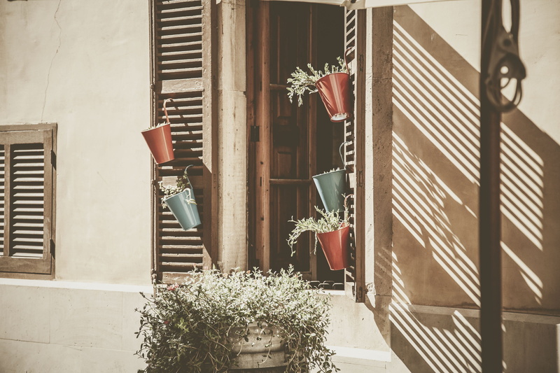 sunlight, flower, day, window, decoration, growth, nature, potted plant, flowering plant, open, wooden, no people, wall - building feature, shutter, porch