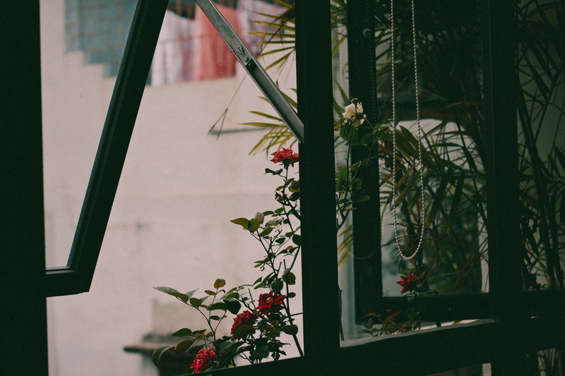 nature, houseplant, potted plant, plant, beauty in nature, art, red, outdoors, handrail, focus, pottery, architecture, photo, home decor, green color, growth
