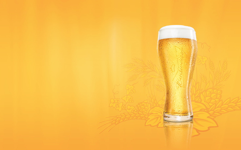 pilsner, indoors, Glass, close-up, still life, ornate, studio shot, beer, no people, drink, orange background, refreshment, clear, luxury, beer - alcohol