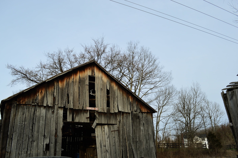 clear sky, nature, budweiser ave, bare tree, wood - material, tree, kentucky, plant, sky, 1080P, old, house, architecture, building, day, cable, abandoned