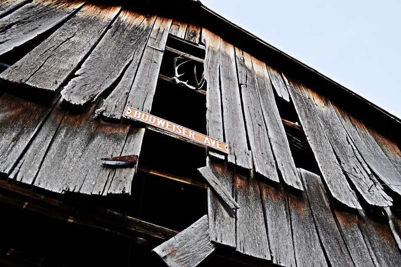 Ave, abandoned, building exterior, nature, ruined, Budweiser, old, low angle view, sky, house, wood - material, across the country, budweiser ave, clear sky