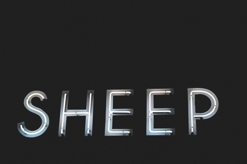 illuminated, brightly lit, overlay, SHEEP, dark, light, 5K, neon, western script, capital letter, studio shot, copy space, text, letter, communication