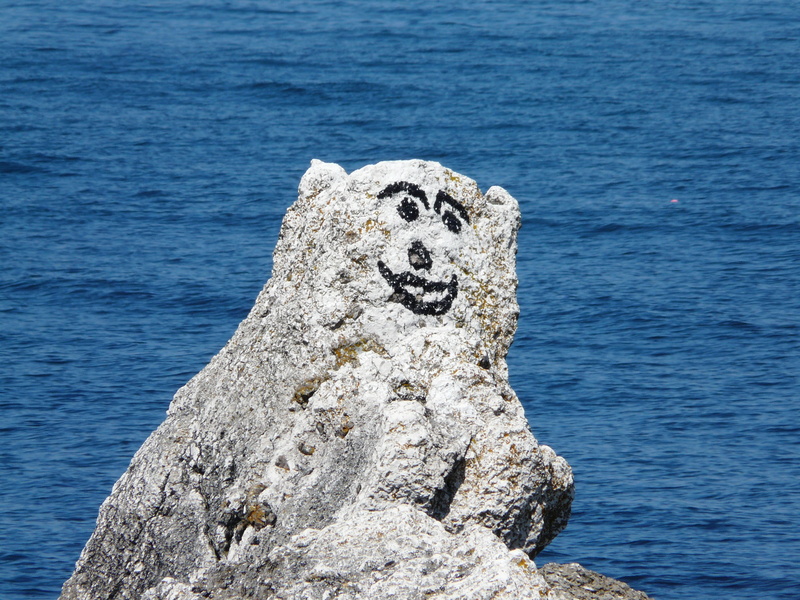 art, solid, blue, vertebrate, beauty in nature, humour, animal wildlife, day, 2K, nature, seaside, rock, one animal, ireland, animal, animal themes, rock - object