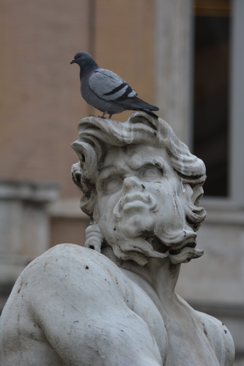 humour, representation, male likeness, 5K, built structure, outdoors, statue, fun, focus on foreground, human representation, vertebrate, creativity, sculpture