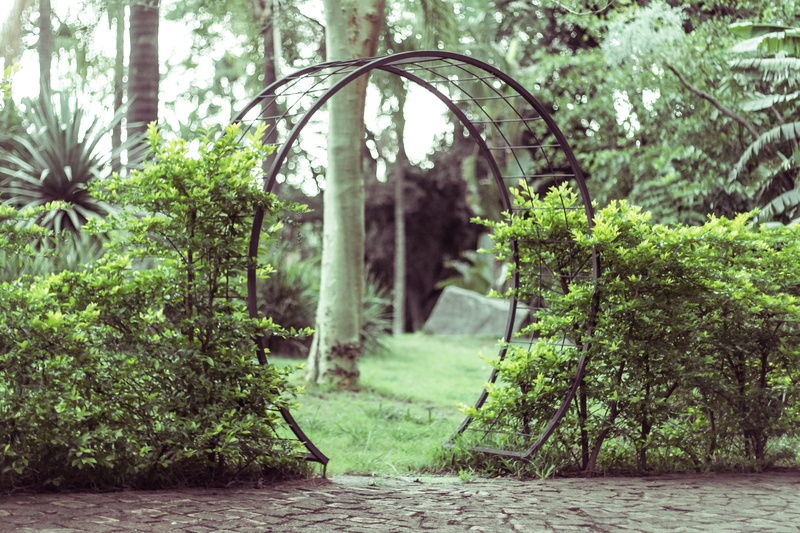 vintage, the way forward, gate, idyllic, focus on foreground, no people, grass, plant, 5K, terrace, green, day, beauty in nature, scenics - nature, green color