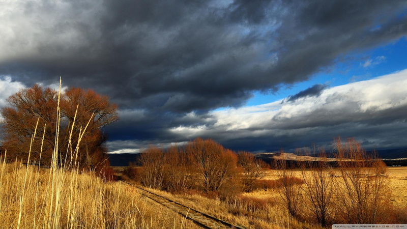 tracks, soldier, brown, train, thru, brushes, grass, fall, leaf, nature and landscapes, hollow, fields, late, clouds, 1080P, trees