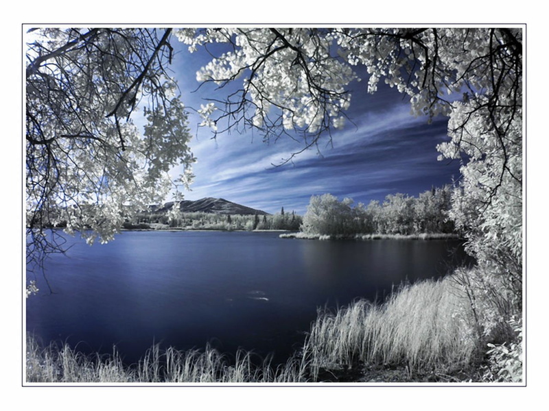 720P, white, Blue, lake, nature, view, Trees, hd, thru, art