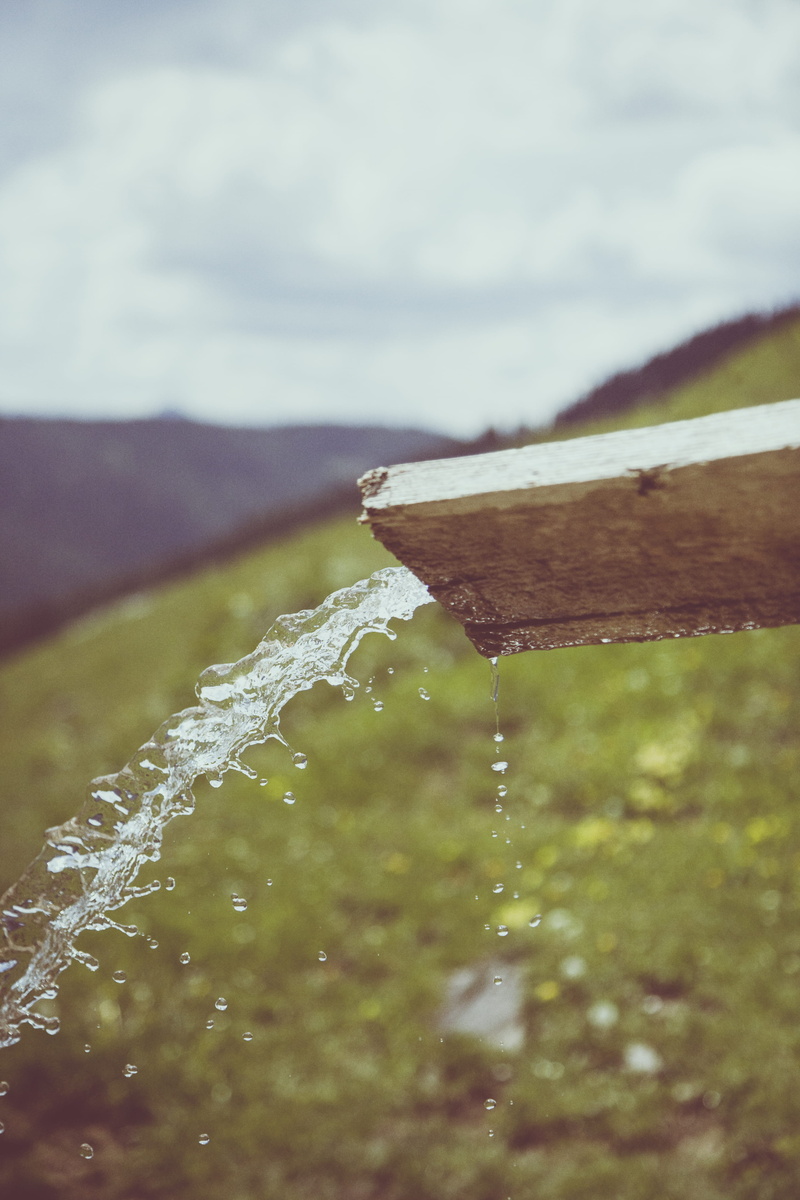 4K, environment, thru, outdoors, brown, field, wood, pouring, plant, nature, land, no people, cut, macro, purity, selective focus, motion, drop, tranquility