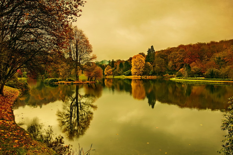 no people, autumn, lake, reflection, reflection lake, beauty in nature, tree, water, change, waterfront, plant, standing water, idyllic, trees, nature
