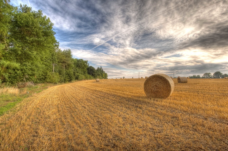 the city, city, Middle Barton Farm, photography, photographer, 4K, hay, field, Lies Thru a Lens