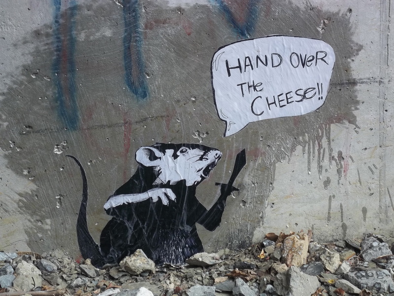 architecture, text, 4K, wall, black, illustration, white color, day, message, rat, rats, nature, communication, creativity, outdoors, western script, graffiti