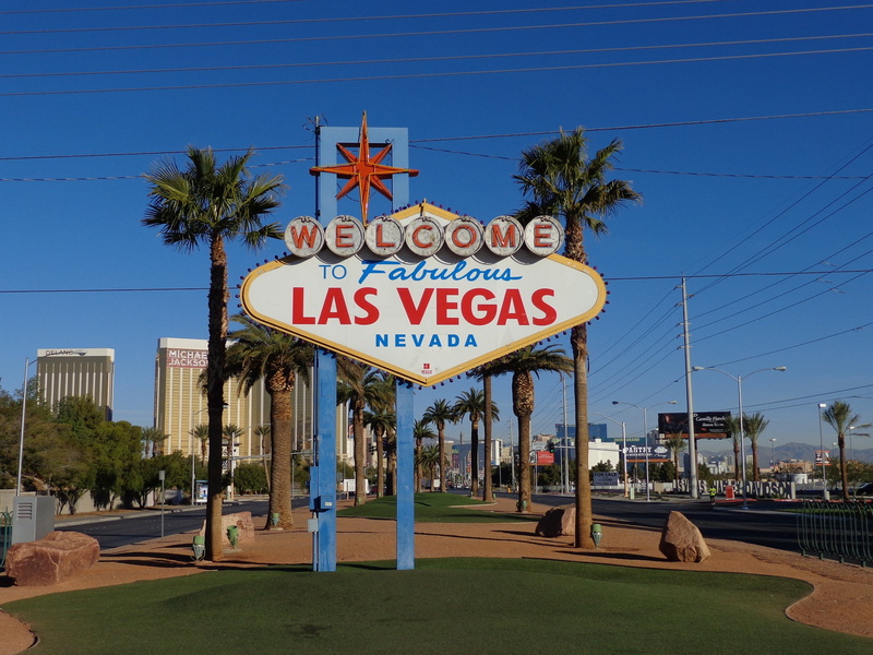 palm tree, outdoors, uSA, city, tree, building exterior, sunlight, architecture, plant, day, communication, 2K, sky, vegas, las, nature, road, built structure