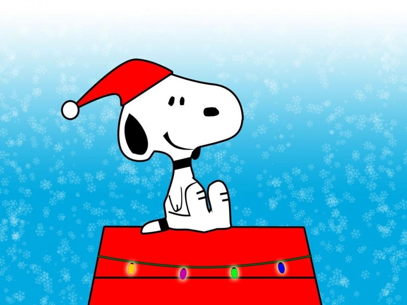 red, representation, Snoopy, food and drink, Comics, emotion, human representation, blue, indoors, one person, Peanuts, fun, 720P, humor, colored background