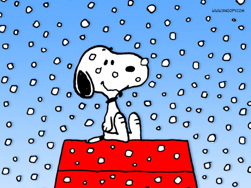 comics, charlie, peanuts, 1080P, christmas, Brown