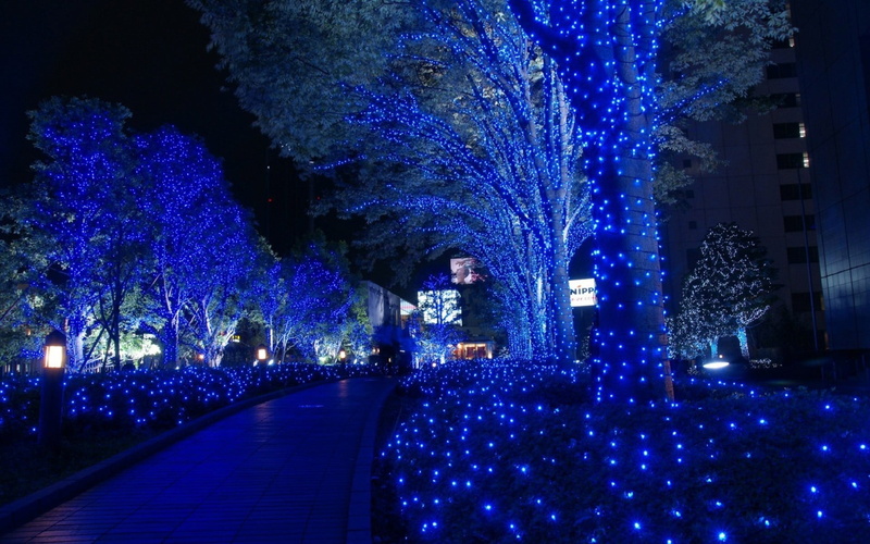outdoors, decoration, direction, building exterior, built structure, blue, trees, plant, led, cityscape, nature, celebration, incidental people, lighting equipment