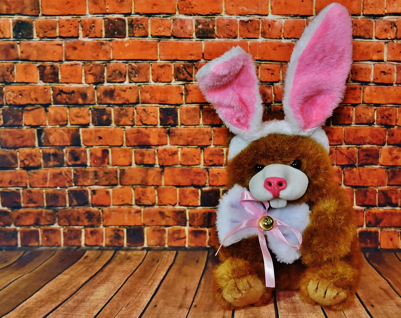 art and craft, 4K, Easter, creativity, teddy, greeting card, wall, no people, stuffed toy, toy, seat, teddy bear, brick, funny, softness, indoors, wall - building feature