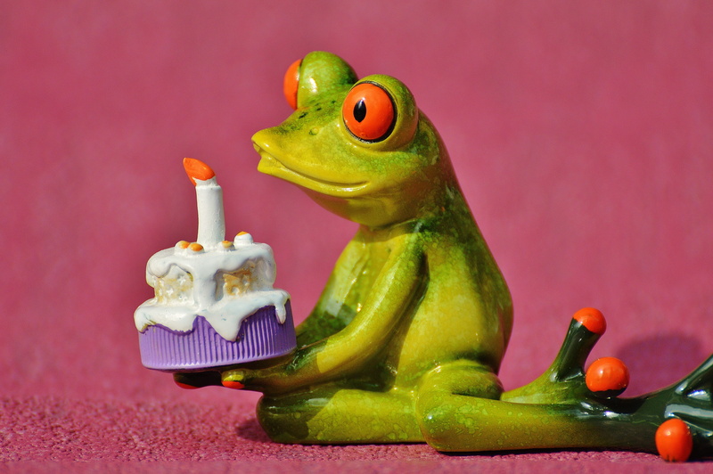 birthday cake, fruit, figurine, congratulations, animal themes, Happy Birthday, one animal, Frog, animal, funny, cute, holds, representation, figure, birthday candles