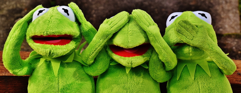 focus on foreground, not see, creativity, humor, green, sit, nature, fun, plush, kermit, art and craft, frogs, day, do not speak, sculpture, vegetable