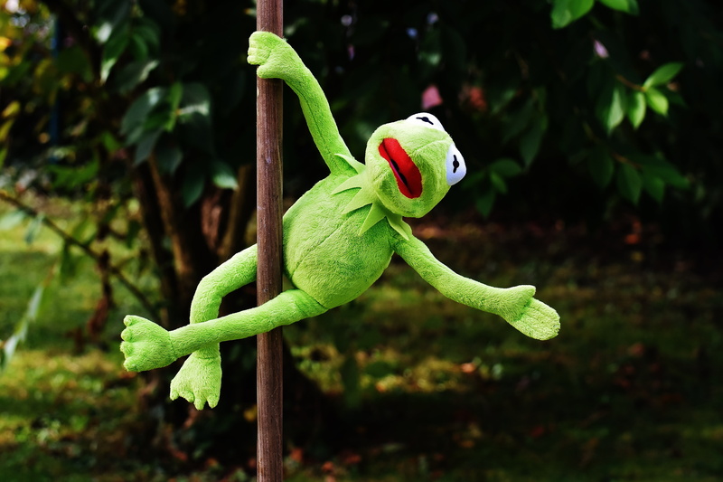 stuffed animal, plant, vertebrate, pole dance, lizard, kermit, plant part, animal, toys, 5K, funny, leaf, toy, animals in the wild, one animal, figure