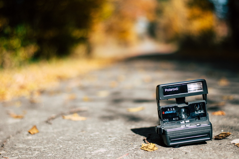 nature, Polaroid, 4K, camera, leaves, Ukraine, road