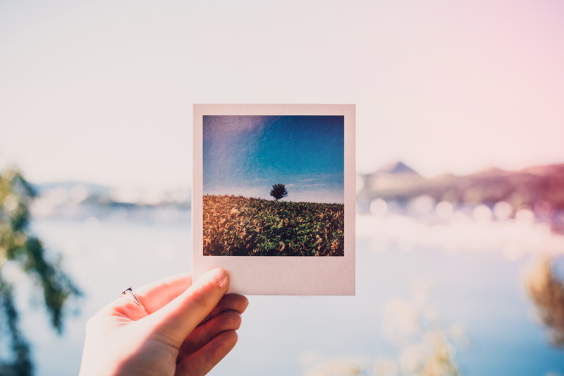 polaroid, tree, photographer, unrecognizable person, hand, 5K, landscape, real people, woman, lifestyles, retro, photography themes, personal perspective