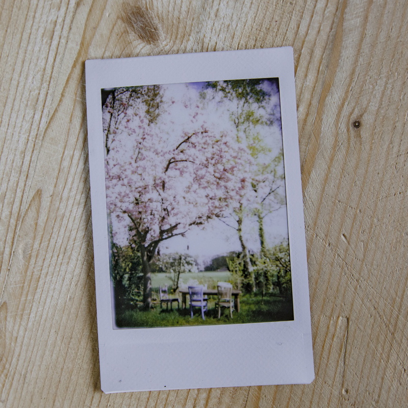 positive, screen, built structure, nostalgia, polaroid, wood - Material, flowering, picture frame, dom, directly above, care, tree, old-fashioned, photo